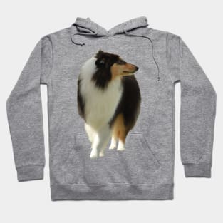 Black Lassie Hoodie